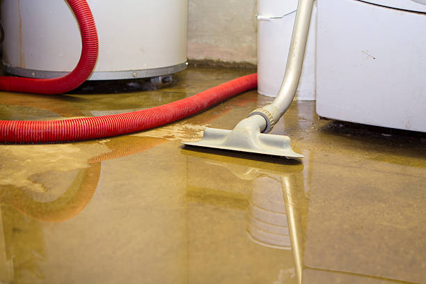 Best 24/7 water damage repair  in Homedale, ID