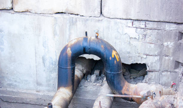 Best Water damage contractors near me  in Homedale, ID